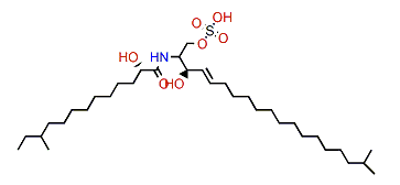 Calyceramide B